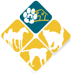 Logo Clinique Vétérinaire du Bois de Bouge